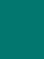 Shop Savage Widetone Seamless Background Paper (Teal, 53" x 36') by Savage at Nelson Photo & Video