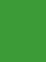 Shop Savage Widetone Seamless Background Paper (Tech Green, 107" x 36') by Savage at Nelson Photo & Video