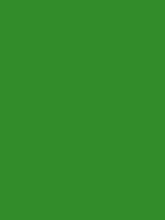 Shop Savage Widetone Seamless Background Paper (Tech Green 86”X12yds) by Savage at Nelson Photo & Video