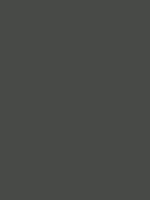 Shop Savage Widetone Seamless Background Paper (Thunder Gray, 107" x 36') by Savage at Nelson Photo & Video