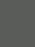 Shop Savage Widetone Seamless Background Paper (Thunder Gray, 53" x 36') by Savage at Nelson Photo & Video