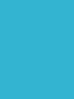 Shop Savage Widetone Seamless Background Paper (True Blue, 53" x 36') by Savage at Nelson Photo & Video