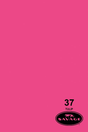 Shop Savage Widetone Seamless Background Paper (Tulip  86” x 12yd) by Savage at Nelson Photo & Video