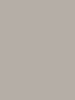 Shop Savage Widetone Seamless Background Paper (TV Gray, 53" x 36') by Savage at Nelson Photo & Video