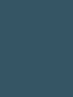 Shop Savage Widetone Seamless Background Paper (Ultramarine, 53" x 36') by Savage at Nelson Photo & Video