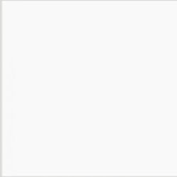 Shop Savage Widetone Seamless Background Paper (White, 53" x 36') by Savage at Nelson Photo & Video
