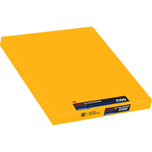 Kodak Professional Ektachrome E100 Color Transparency Film (8 x 10", 10 Sheets)