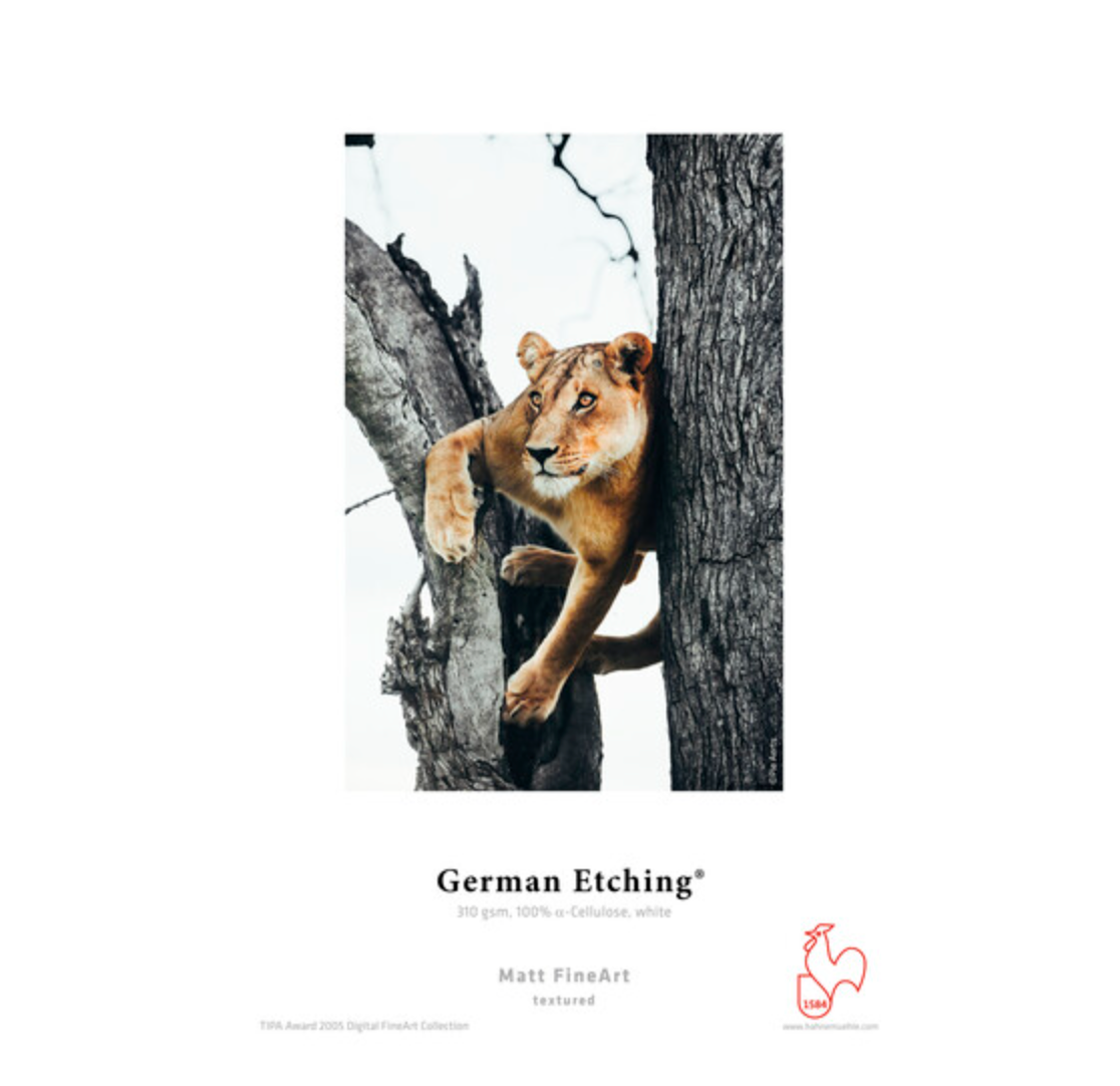 Hahnemuhle German Etching Paper 13 x 19" - 25 Sheets