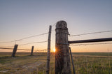 Sigma 14mm f/1.4 DG Art Lens