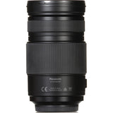 Panasonic Lumix G Vario 100-300mm f/4-5.6 II POWER O.I.S. Lens