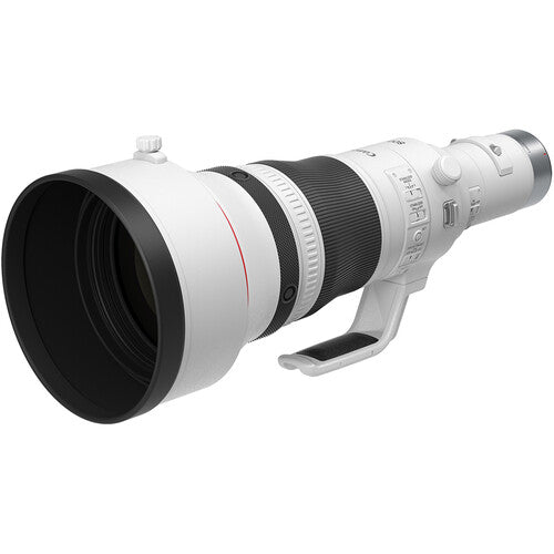 Canon RF 800mm f/5.6 L IS USM Lens