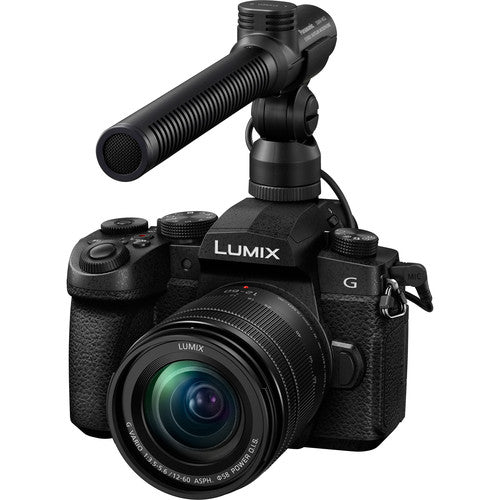 Panasonic Lumix G95 Hybrid Mirrorless Camera with 12-60mm Lens