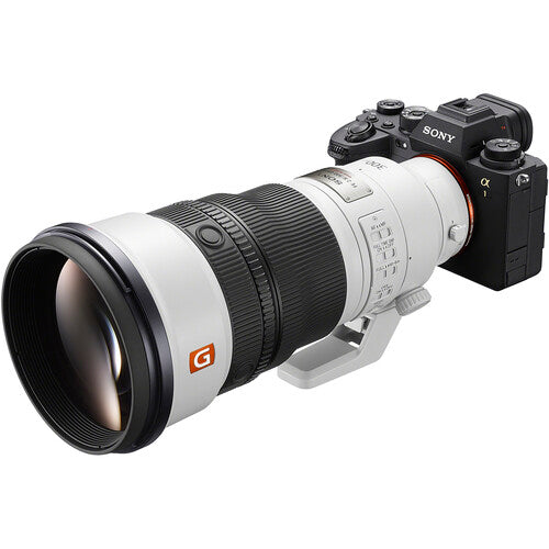 Sony FE 300mm f/2.8 GM OSS Lens (Sony E)