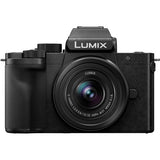 Panasonic LUMIX G100 Mirrorless Camera with 12-32mm F3.5-5.6 Lens