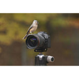 Canon R6 Mark III Mirrorless Camera