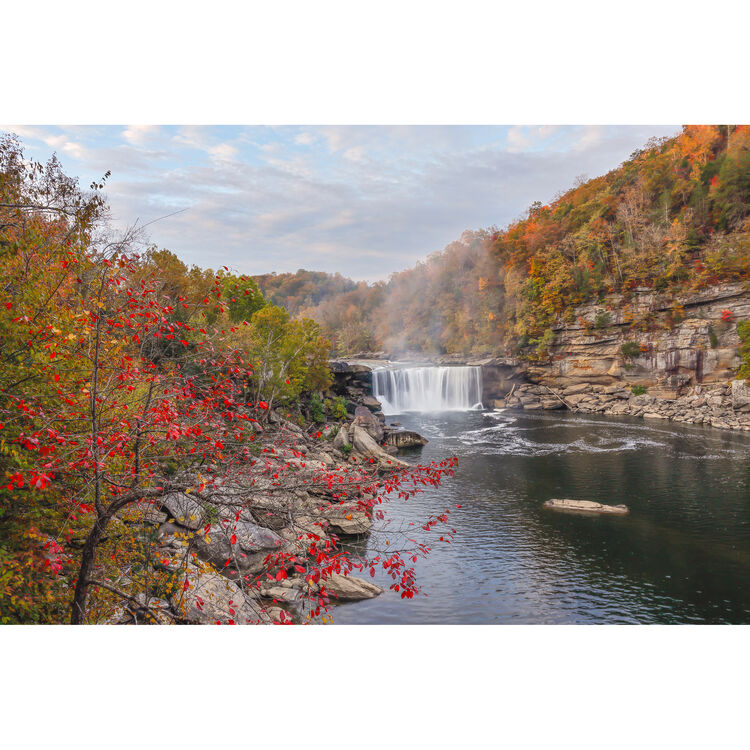 Canon R6 Mark III Mirrorless Camera