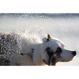 Sony a7 V Mirrorless Camera