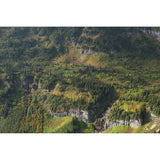 Sony FE 28-70mm f/3.5-5.6 OSS II Lens (Sony E)