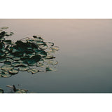 Tamron 35-100mm f/2.8 Di III VXD Lens (Sony E)