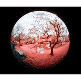 Laowa 4.5-10mm f/2.8 CF Zoom Fisheye Lens