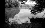 Film Photography Project Svema FN64 Black & White ISO 64 Film (35mm) (24 Exposures) (1 Roll)