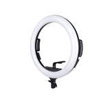 Promaster Specialist R19RGB 19" LED Ringlight