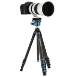 Benro BlackBird Carbon Fiber Tripod with G36PT Inverted Ball Head