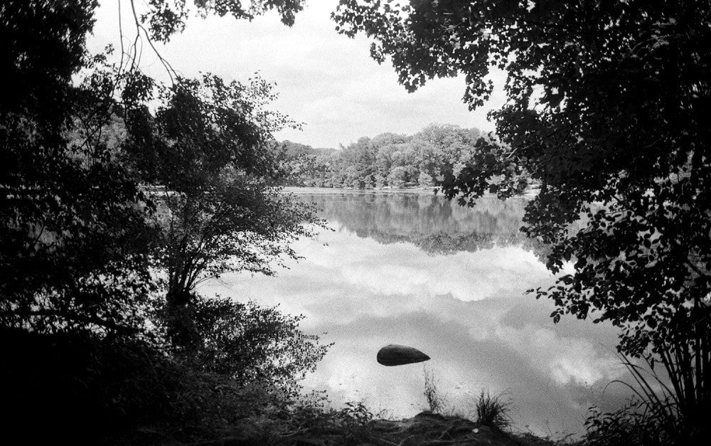 Film Photography Project Svema FN64 Black & White ISO 64 Film (35mm) (24 Exposures) (1 Roll)