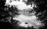 Film Photography Project Svema FN64 Black & White ISO 64 Film (35mm) (24 Exposures) (1 Roll)