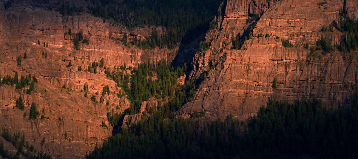 Nikon NIKKOR Z 120-300mm f/2.8 TC VR S Lens