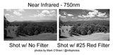 Film Photography Project Svema Foto 100 Black & White Film - ISO 100 (35mm) (24 Exposures)
