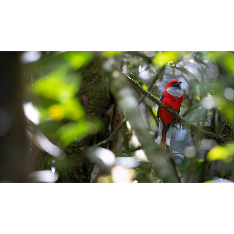 Fujifilm FUJINON XF400mmF4.5 R LM OIS WR Lens