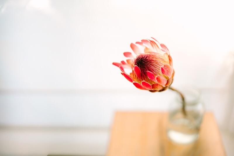 Sigma 35mm F1.2 DG II Art for Sony E Mount