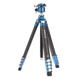 Benro BlackBird Carbon Fiber Tripod with G36PT Inverted Ball Head