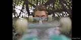Panasonic LUMIX S PRO 50mm f/1.4 Lens