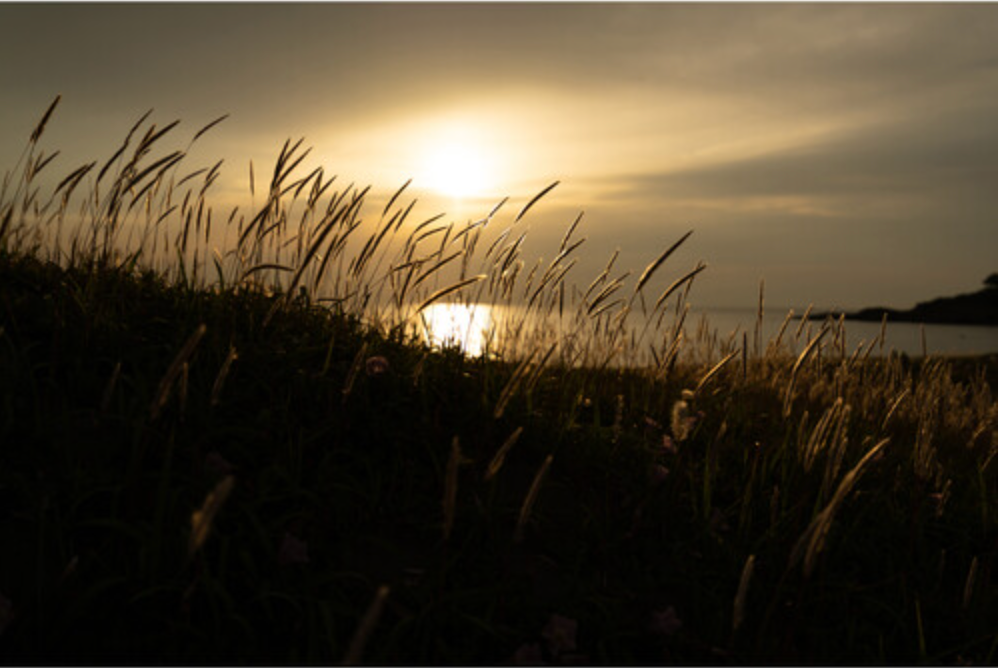 TAMRON 16-30mm F/2.8 Di III VXD G2  for SONY E
