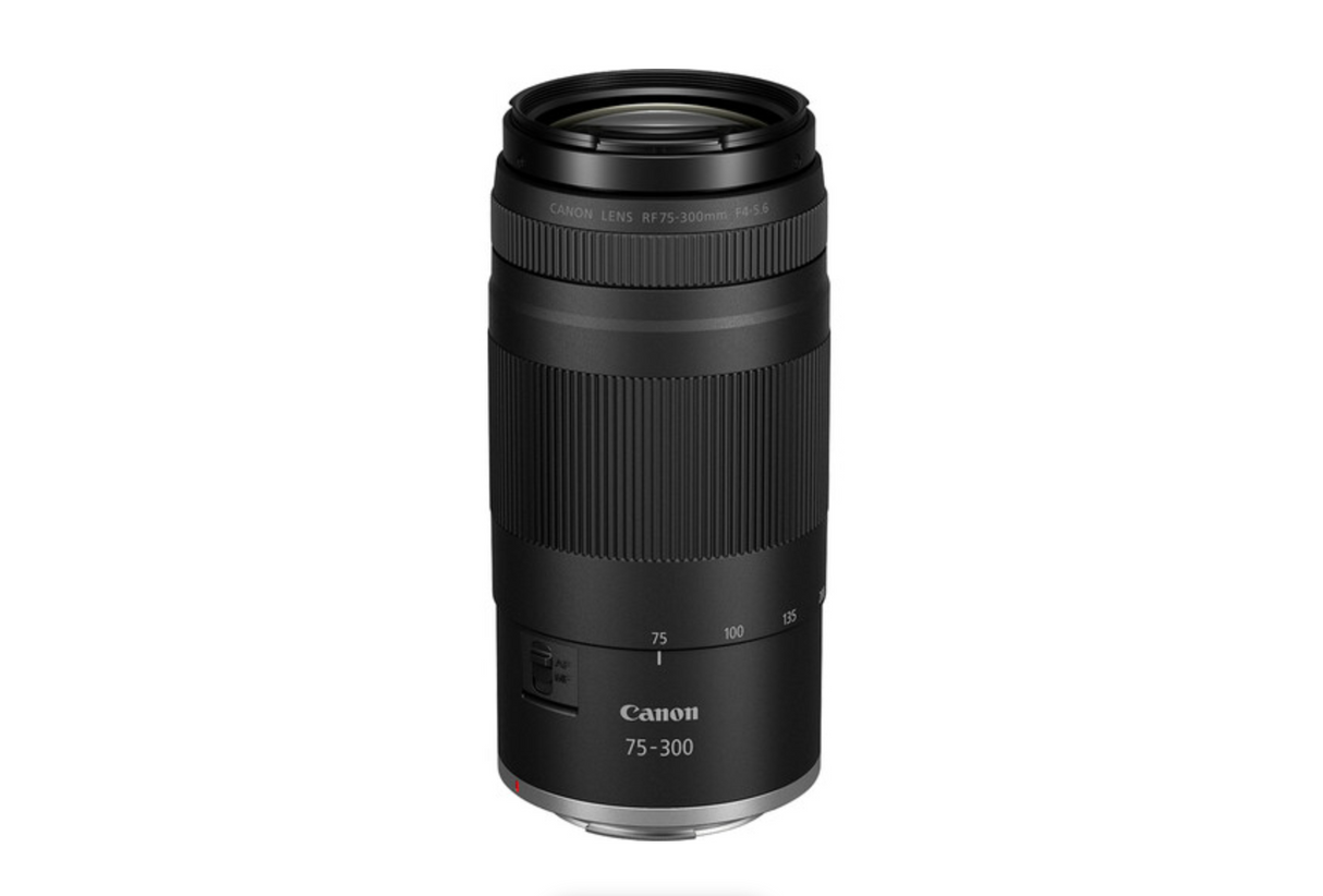 Canon EOS R100 DOUBLE LENS ZOOM KIT