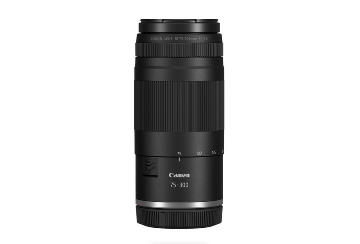 Canon EOS R100 DOUBLE LENS ZOOM KIT