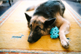 Sigma 35mm F1.2 DG II Art for Sony E Mount