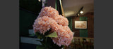 Panasonic LUMIX S series 20mm F2.5 Lens