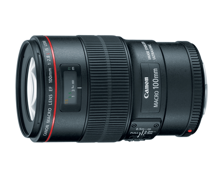 Shop Canon EF 100mm f/2.8L Macro IS USM by Canon at Nelson Photo & Video