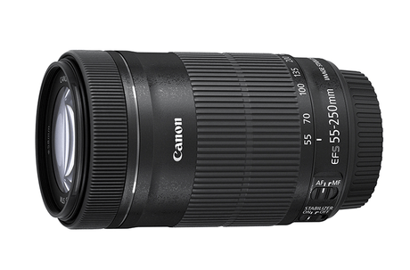 Shop Canon EF-S 55-250mm f/4-5.6 IS STM by Canon at Nelson Photo & Video