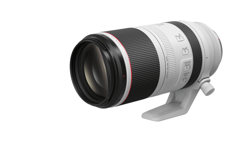 Shop Canon RF 100-500mm F4.5-7.1 L IS USM by Canon at Nelson Photo & Video