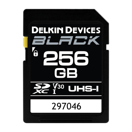 Shop Delkin SDXC Black Memory Card 256 GB by Delkin at Nelson Photo & Video