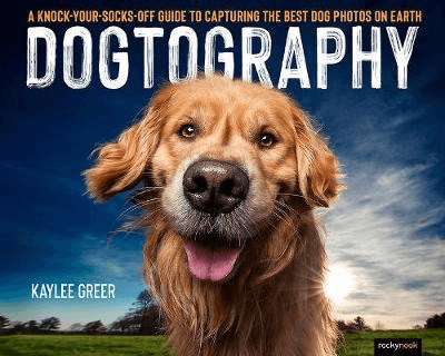 Shop Dogtography by Kaylee Greer by Rockynock at Nelson Photo & Video
