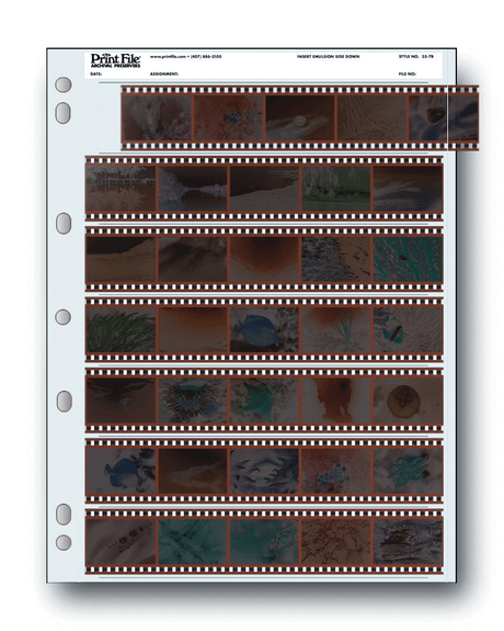 Shop Dotline Print File Archival Preservers 35mm/5 Frames/7 Strips - 25 by Dotline at Nelson Photo & Video