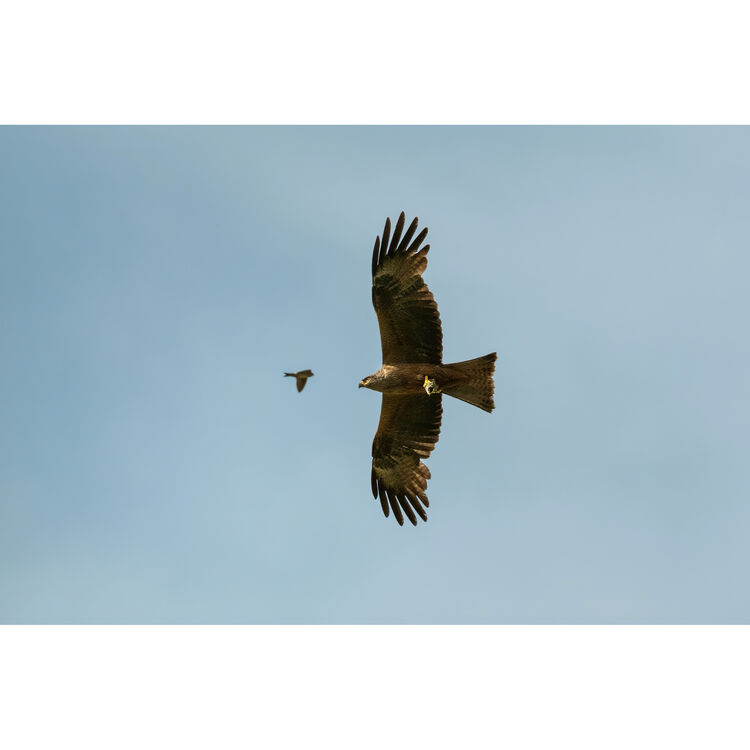 Fujifilm FUJINON XF400mmF4.5 R LM OIS WR Lens
