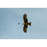 Fujifilm FUJINON XF400mmF4.5 R LM OIS WR Lens