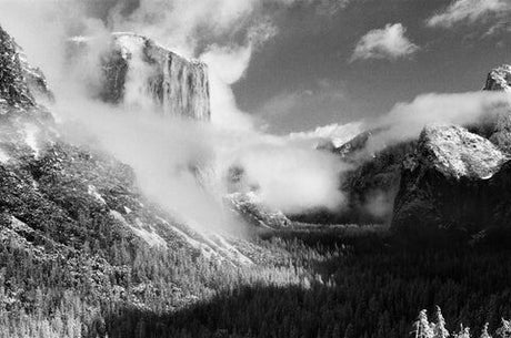 Film Photography Project 35mm Infrared Film - FPP BW IR (1 Roll)