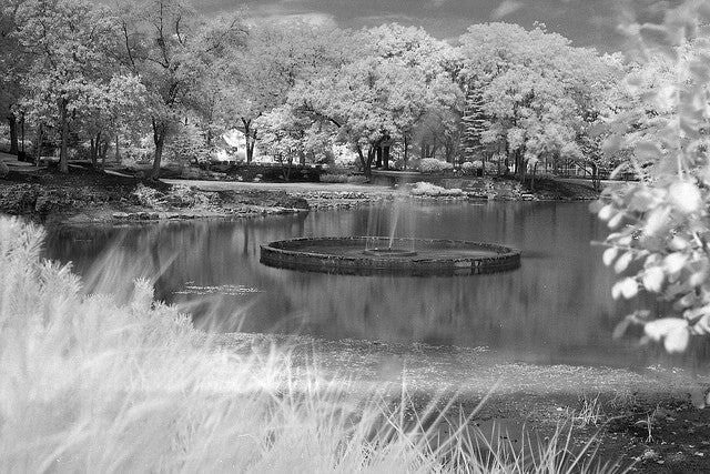 Film Photography Project 35mm Infrared Film - FPP BW IR (1 Roll)